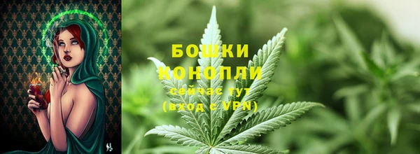 ПСИЛОЦИБИНОВЫЕ ГРИБЫ Арсеньев