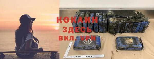 ПСИЛОЦИБИНОВЫЕ ГРИБЫ Арсеньев