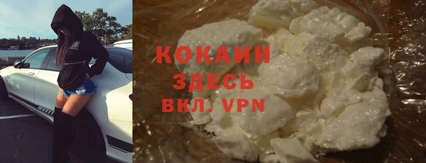ПСИЛОЦИБИНОВЫЕ ГРИБЫ Арсеньев