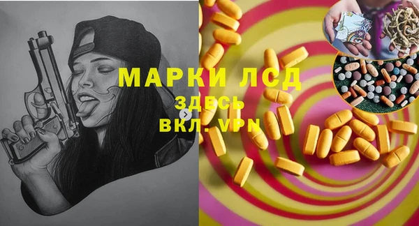 ПСИЛОЦИБИНОВЫЕ ГРИБЫ Арсеньев