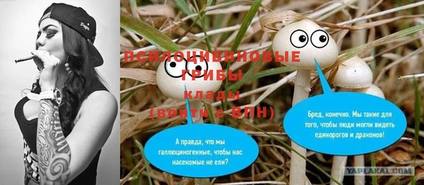 ПСИЛОЦИБИНОВЫЕ ГРИБЫ Арсеньев