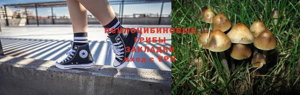 ПСИЛОЦИБИНОВЫЕ ГРИБЫ Арсеньев